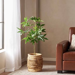 Albero della Fortuna Artificiale Pachira da 47,2 Pollici, Piante da Interno Durevoli - Product Image 1