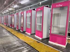 Réfrigérateur de présentation de boissons énergisantes OEM 210L à refroidissement par air, porte simple en verre, pour usage commercial - Product Image 3