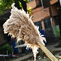 Rumput Pampas tandan bunga pernikahan buatan DIY, tanaman hias dalam ruangan untuk Hari Valentine dan Hari Ibu