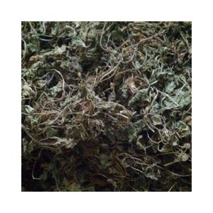 VENTA RÁPIDA EN VIETNAM: HOJAS SECAS DE GOTU KOLA, HOJAS PURAS DE CENTALLA ASIATICA (PENNY WORT) PARA UNA PIEL SUAVE, MEJOR PRECIO AL POR MENOR - Product Image 1