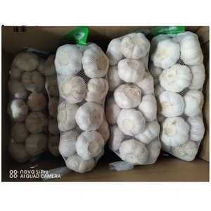 Normal Beyaz veya Saf Beyaz Sarımsak Sebzeleri Sağlıklı Faydaları Olan Sarımsak Çiğ Halinde Yenilir Çoklu Paket - Product Image 2