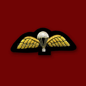 Insignias Bordadas a Mano Tradicionales Estilo Vintage con Pin de Seguridad, Tamaño Personalizado - Product Image 2