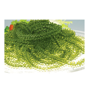 Proveedor de Umibudo Fresco (Uva de Mar, Caviar Verde) para Bares de Sushi, Exportación de Vietnam - Product Image 1