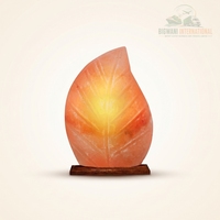 Lampe en forme de feuille de sel de l'Himalaya sculptée à la main, en cristal de sel rose naturel, avec variateur d'intensité et base en bois