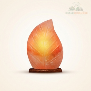 Lámpara de Sal del Himalaya Tallada a Mano, Lámpara de Mesa con Forma de Hoja de Sal de Cristal Rosa Natural, con Cable Regulador de Intensidad y Base de Madera - Product Image 1