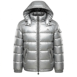 Veste matelassée à capuche pour homme en argent métallisé, veste d'hiver chaude et matelassée pour l'extérieur, veste légère imperméable One Apex - Product Image 1