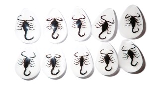Cabochon Black Scorpion Pear Shape cut <b>top</b> 25x17 mm White Flat Bottom for Crafts and Jewelry Making - Product Image 3