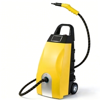 Nettoyeur Vapeur Électrique Instantané à Ozone Haute Pression Portable pour Nettoyage Automobile Intérieur