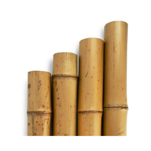 Varas de Bambú Tratadas de Alta Calidad, Estacas de Bambú Duraderas para Agricultura - Product Image 1