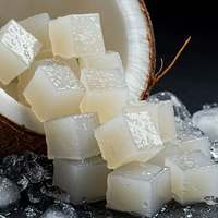 HALAL Hoge Kwaliteit Nata De Coco in Sirop uit Vietnam voor Voedsel & Dranken, Groothandel Bulk OEM ODM Private Label Fabriek Direct
