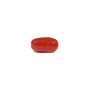 Natural Red Coral Loose Gemstone 3.48 Carat Certified Wholesale Raw - Product Image 1