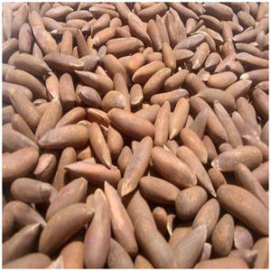 Núcleos de Nueces Pecanas / Precio de las Nueces Pecanas - Product Image 3