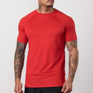 Fabricante de Camisetas Deportivas Personalizadas de Alto Rendimiento, Ligeras, Transpirables, de Malla, de Secado Rápido, para Entrenamiento, Camiseta Deportiva para Hombre - Product Image 1