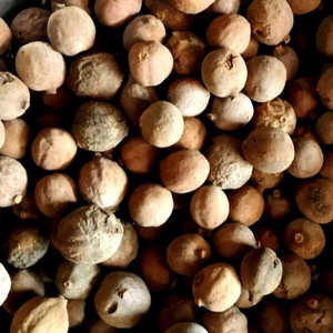 Polvo de Baheda |   Bibhitaki |   Beleric Myrobalan |   Polvo de Baheda Chilka |   Polvo de Fruta de Terminalia Bellirica |   Secado en Bruto a Granel - Product Image 6