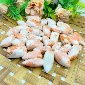 Cristal de Scolecita Natural en Forma de Llama, Color Durazno, Pulido, para Reiki, Meditación, Decoración Energética, Venta al Por Mayor - Product Image 2