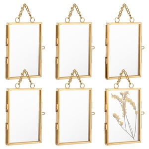 Ensemble de cadres flottants modernes en laiton pour photos, présentoir mural en métal et verre pour fleurs séchées, décoration intérieure, fournisseur de cadres - Product Image 1