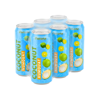 24 maanden OEM/ODM 330ml blikje Kumquat-gearomatiseerde kokoswaterdrank Private Label Fruit & Groente Sap
