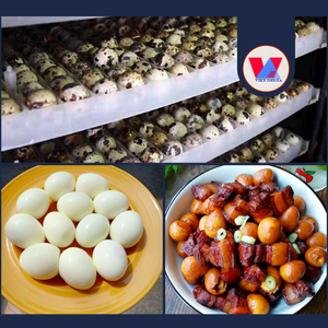 BEST SELLER All Natural 15oz Premium Tinned Quail <b>Eggs</b> Cooked Peeled Quail <b>Egg</b> Ready to Eat for Asian Hotpot Soup Rice Topping - Product Image 3