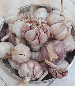 Ail frais biologique du Vietnam, ail blanc naturel en bulbes, approvisionnement en vrac pour la transformation alimentaire et la vente en gros - Product Image 3