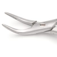 Pince à racines Witzel 2,1 mm 45 °   Instrument d'extraction des racines dentaires supérieures à mâchoires dentelées angulées en acier inoxydable chirurgical