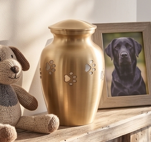 Elegante Urna Conmemorativa de Metal con Diseño de Huella Dorada, Urna Conmemorativa para Mascotas, Urna Conmemorativa Funeraria, Regalo Conmemorativo, Urna de Cremación de Aluminio - Product Image 5