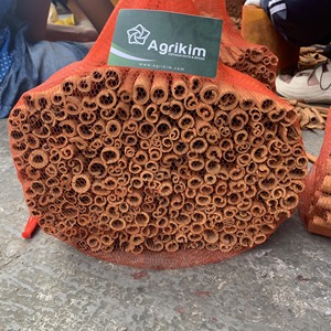 ซินนามอนม้วนยาว8ซม. เกรดเยี่ยมหวานรสเผ็ดหรือตกแต่ง WS + 84 865216698 - Product Image 6