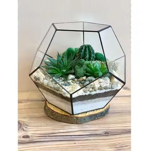 Stylish Accent Metal Terrarium Glass Planter Decorative Indoor Plant Holder Geometric Home Decor - Product Image 3