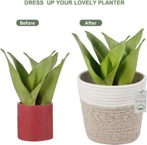 Panier de jardinage artisanal en jute, couvre-pots en corde tressée pour plantes succulentes - Léger, utilisation intérieure/extérieure - Product Image 5