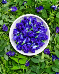 Fleur de pois papillon séchée de qualité supérieure, colorant bleu naturel pour boissons et aliments - Product Image 6