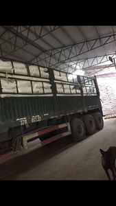 Nouilles Vermicelli de qualité supérieure, vente chaude, haute qualité, large vermicelli pour fondue - Product Image 6