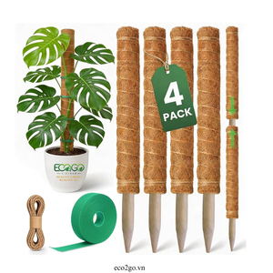 Juego de 4 Postes de Musgo de Coco Biodegradables |   Varillas de Soporte para Plantas de Fibra de Coco de Tamaño Personalizado para Plantas Trepadoras - Product Image 6