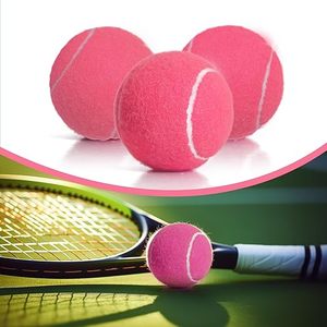 ลูกบอลมินิเด้งสูงสำหรับฝึกซ้อมกีฬาเทเบิลเทนนิส คริกเก็ต แบดมินตัน ของเล่นสัตว์เลี้ยง ขายดี รับผลิตตามสั่ง ขายส่ง - Product Image 3