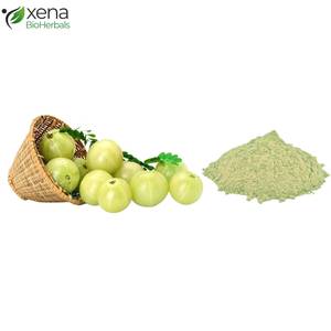 Proveedor de Extracto de Amla, Ingrediente Botánico Natural para Productos Nutracéuticos al por Mayor - Product Image 3