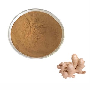 Poudre de gingembre de qualité supérieure 100% pure et naturelle, poudre de racine de Zingiber Officinale pour les applications alimentaires et de boissons - Product Image 2