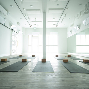 เครื่องทำความร้อนอินฟราเรดคาร์บอนคริสตัล 1000 วัตต์ สำหรับสตูดิโอโยคะ ใช้พลังงานไฟฟ้า/พลังงานแสงอาทิตย์ พร้อมระบบป้องกันความร้อนเกินพิกัด ดีไซน์ไร้กรอบ - Product Image 4