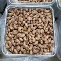 Biologische Knapperige Natuurlijk Geroosterde Gedroogde Cashewnoten Vietnam - Gezond Veganistisch Voedsel Topkwaliteit Groothandel Private Label OEM Service