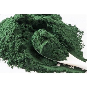 Espirulina Orgánica en Polvo de Grado Alimenticio al por Mayor, Superalimento Vegano con Alto Contenido de Proteínas, Polvo de Algas para la Salud y el Bienestar, Proveedor OEM al por Mayor - Product Image 1