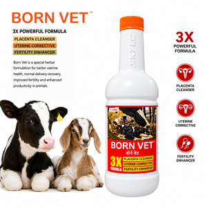 Tonique utérin à base de plantes BornVet pour bovins, buffles, moutons et chèvres, pour les soins post-accouchement du placenta et de l'utérus |   Emballage : 1 litre - Product Image 2