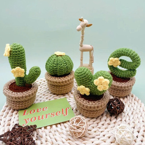 Combo de 4 articles en crochet faits à la main, cactus LOVE, signification du crochet, cadeau pour la fête des mères - Product Image 3