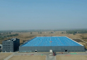 <span class=keywords><strong>Ventosa</strong></span> Industriale Robotica Pneumatica in Silicone con Ugello di Aspirazione Speciale a Sfera Personalizzato per la Raccolta delle Uova - Product Image 6