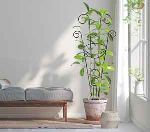 Support pour plantes, support de jardinage, outils de jardin, support pour jardinière, porte-plantes, accessoires de jardin - Product Image 4