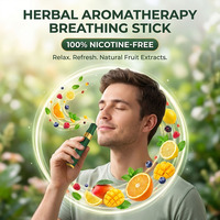 Inhalateur nasal portable aux herbes naturelles pour une respiration fraîche, relaxation quotidienne et bien-être – Meilleure vente