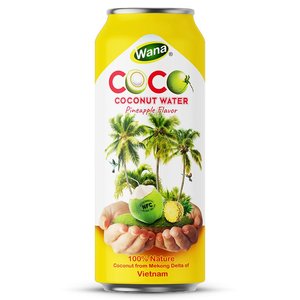 Meilleure vente 500ml eau de coco jus d'ananas purée de fruits légumes jus aliments boissons pastèque primaire en gros - Product Image 1