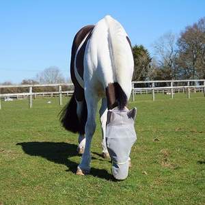 Máscara Antimoscas para Caballos con Logotipo Personalizado (Protección para Orejas y Nariz), Malla con Protección UV, Cómoda, Alta Calidad, Proveedor OEM ODM, Venta al Por Mayor - Product Image 5