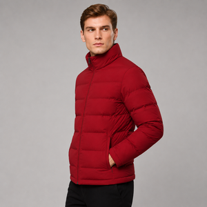 Lightweight insulated jacket crafted with practical winter comfort and sleek styling for casual travel and outdoor cold weather - Product Image 2