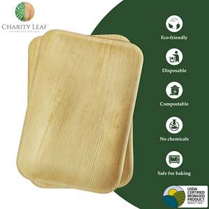 Vassoio Rettangolare Monouso in Foglia di Palma Naturale 9x6 Pollici, Kit per Forniture per Feste - Product Image 6