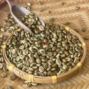 Robusta Café en grains Organique Personnalisé DesignNatural 60 kg Sacs Fournisseur en vrac d'exportation de Vietnamese Highland - Product Image 6