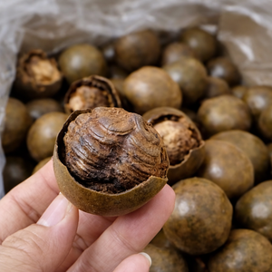 FRUTA DE MONJE SECADA / EDULCORANTE NATURAL / HECHO EN VIETNAM LUO HAN GUO, EDULCORANTE SIN CALORIOS, SUSTITUTO DEL AZÚCAR / MS ALINA - Product Image 2