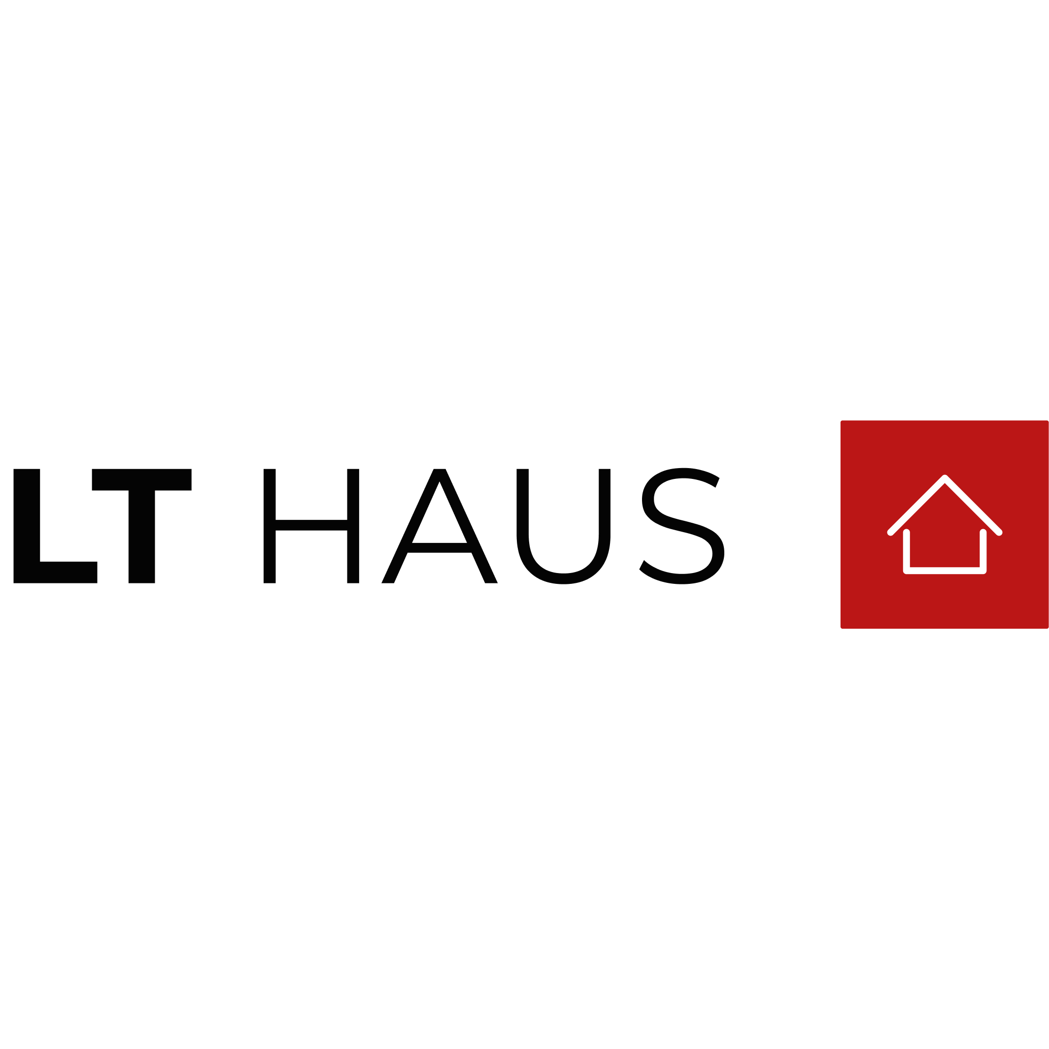 LT Massivbau GmbH logo