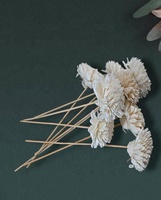 Diffuseur d'air Sola Flower Presents Rotin naturel Reed Stick/Reed Diffuseur avec grande tête de fleur
